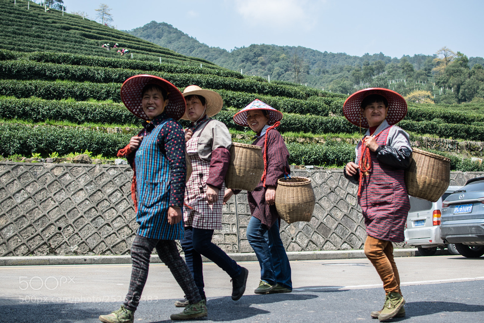 Nikon D5300 sample photo. Tea workers photography