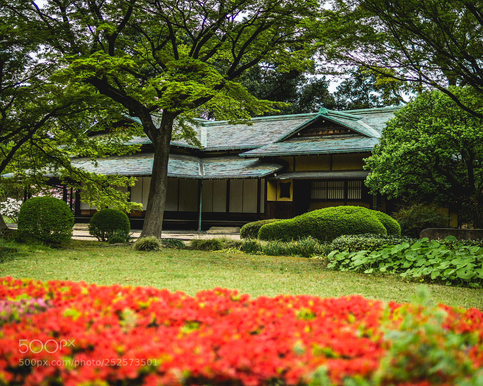 Sony a6000 sample photo. Tea house photography