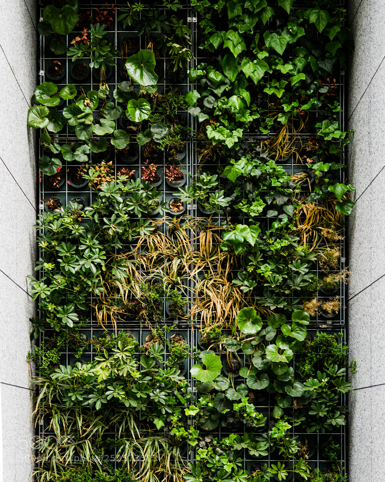 Sony a6000 sample photo. Wall photography