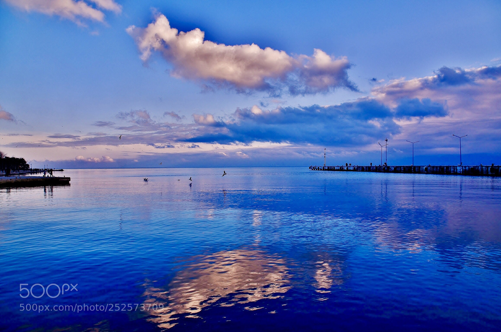 Nikon D7000 sample photo. Reflection photography