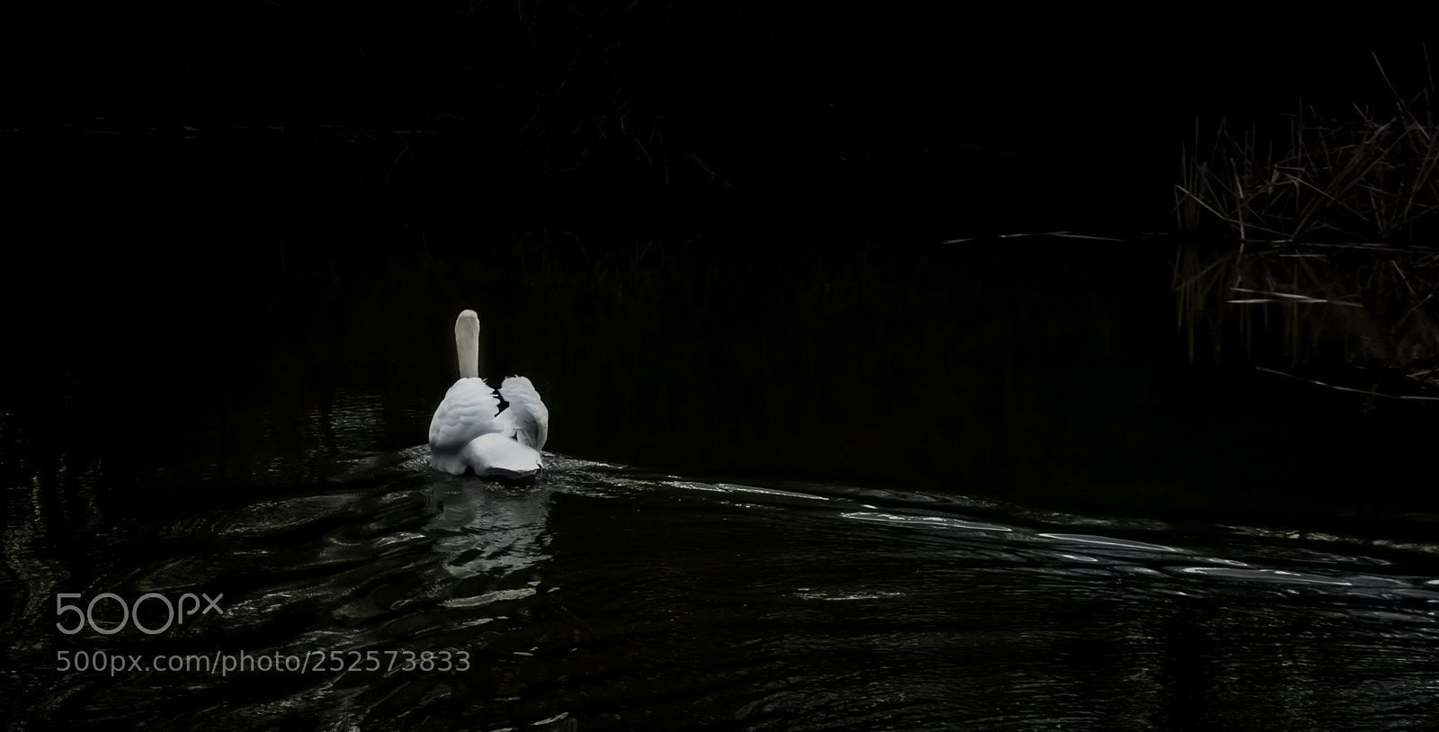 Sony a7 sample photo. Light between darkness photography