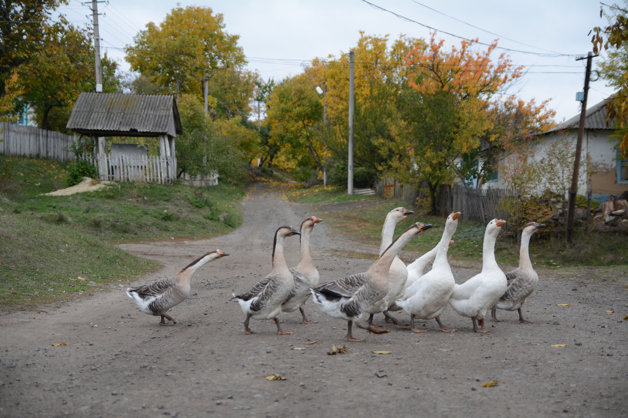 Nikon D7100 sample photo
