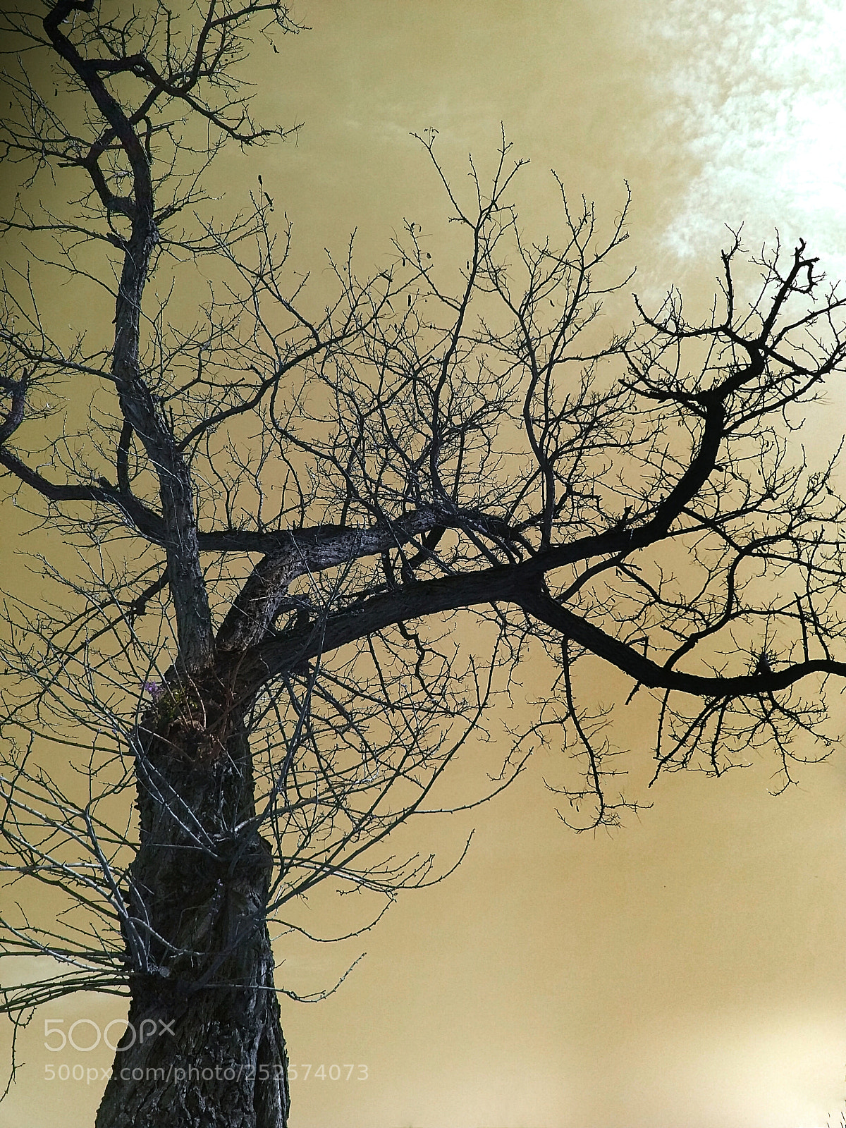 Samsung Galaxy Grand Prime sample photo. Untitled photography