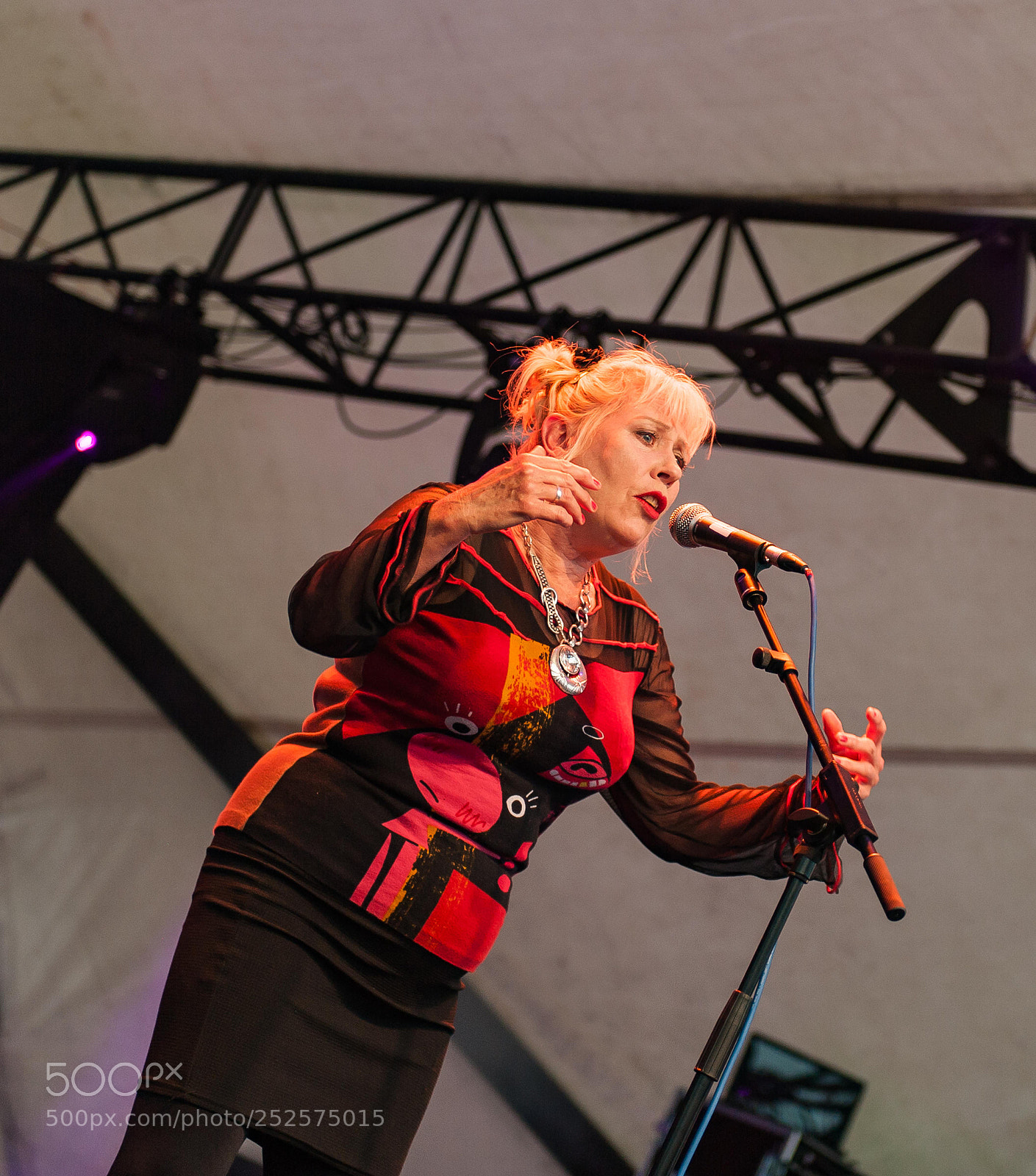Nikon D3 sample photo. Wellowfest 2017 photography