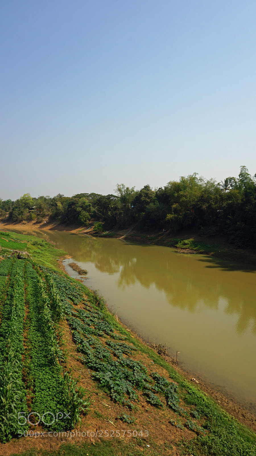 Sony a6000 sample photo. Farmland at tonle sap photography