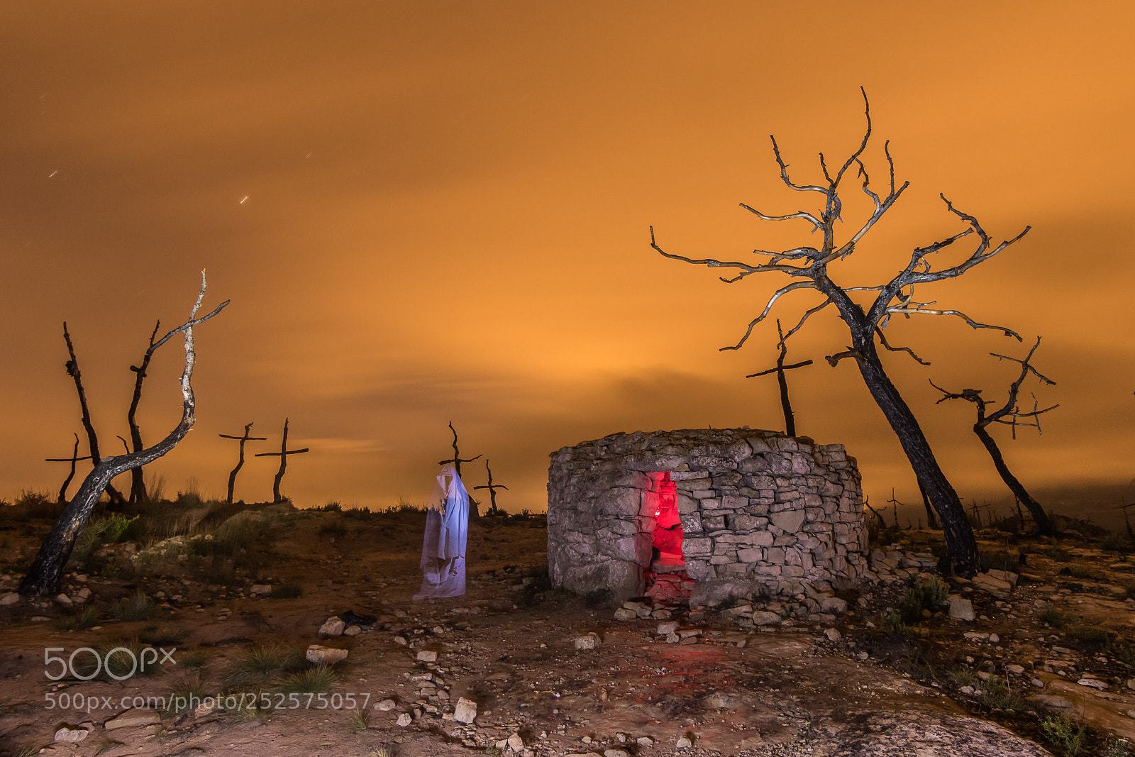 Canon EOS 80D sample photo. Bosc de les creus photography