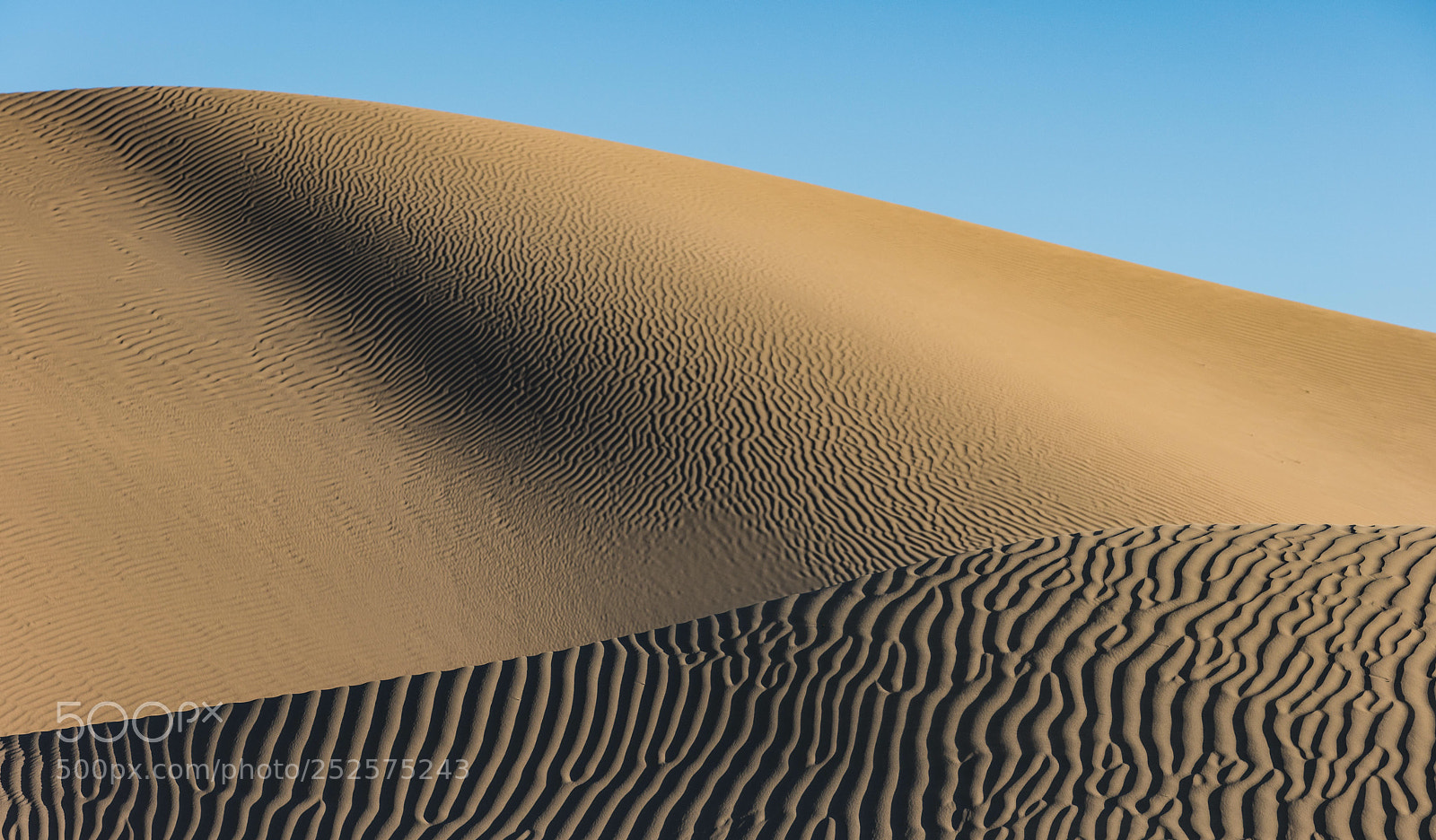 Sony a7R III sample photo. The dunes photography