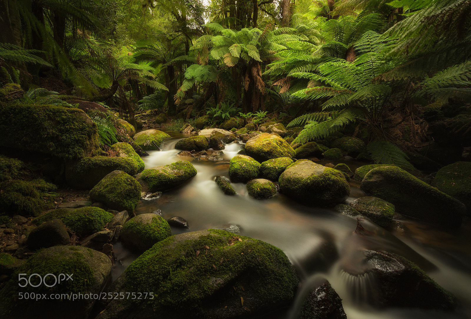 Nikon D810 sample photo. Tranquil photography