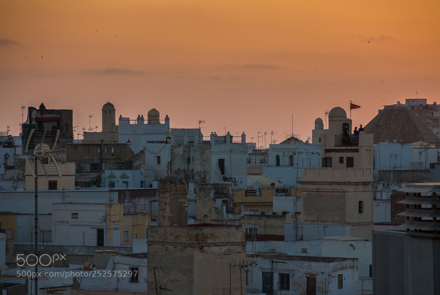 Sony SLT-A77 sample photo. Miradores of cadiz photography
