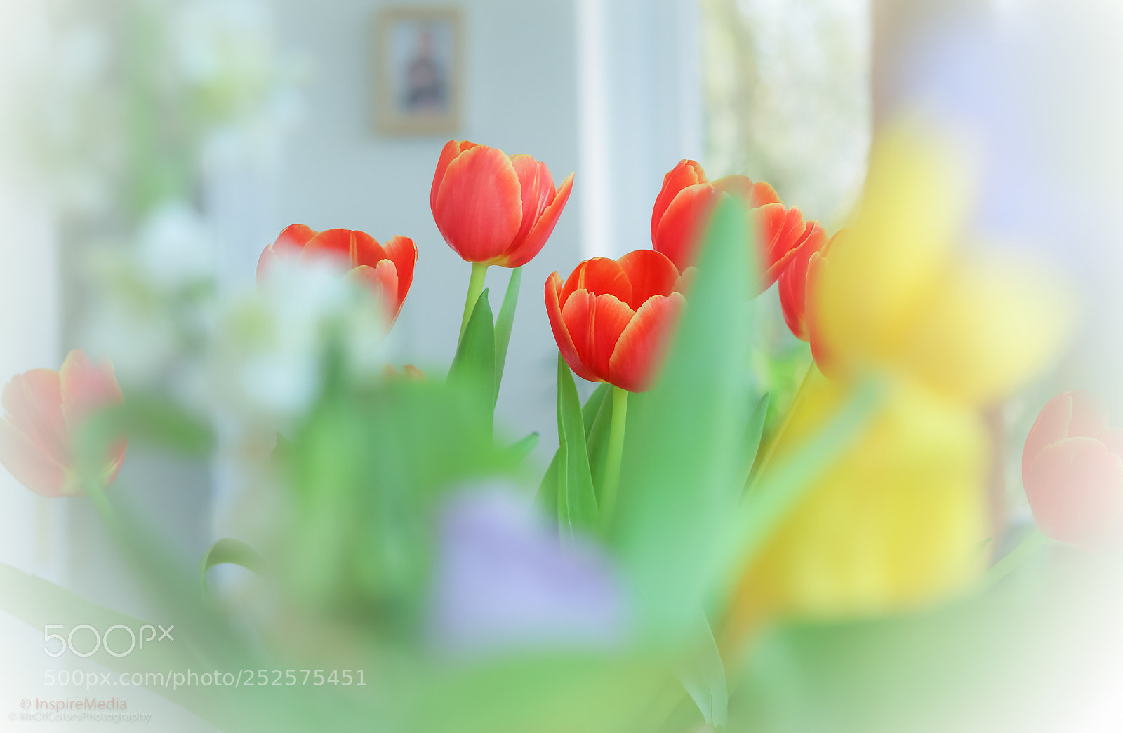 Canon EOS 80D sample photo. Home coming by mrofcolorsphotography photography