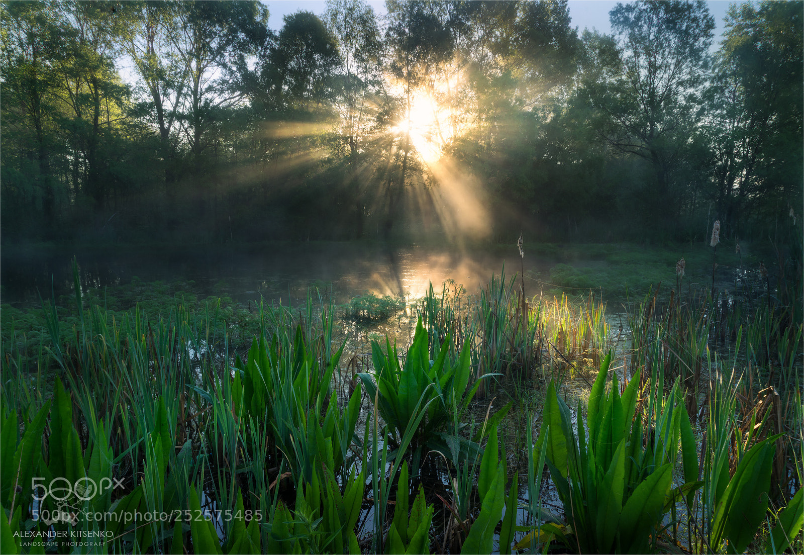 Sony a7R sample photo. The annunciation photography