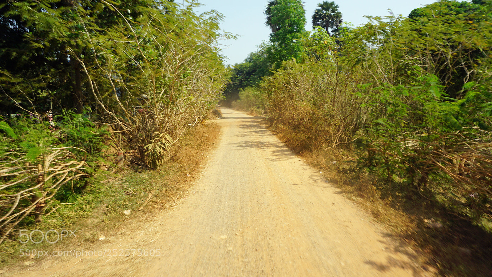 Sony a6000 sample photo. Araund battambang village photography