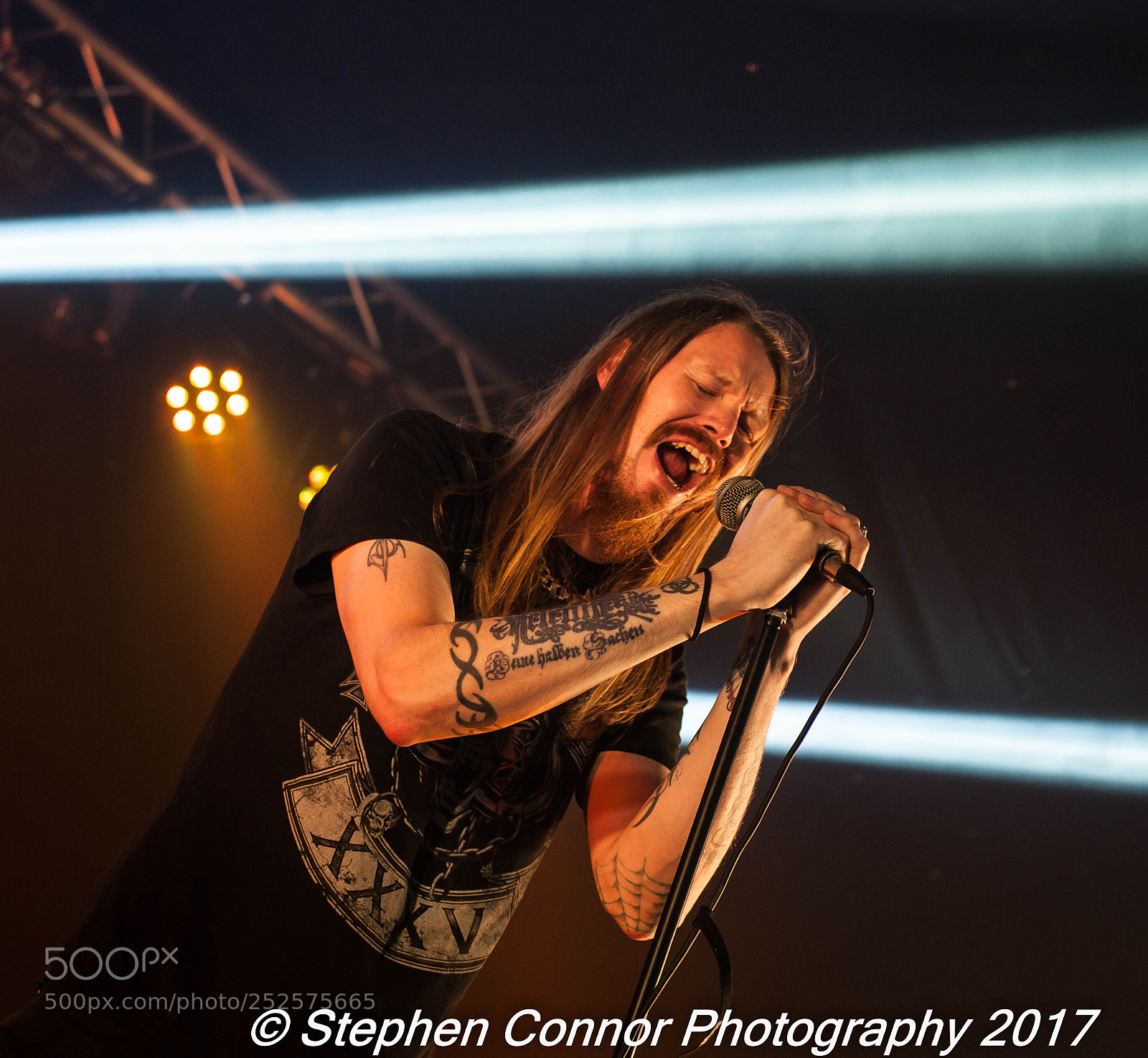 Nikon D3 sample photo. Hayfest 2017 photography