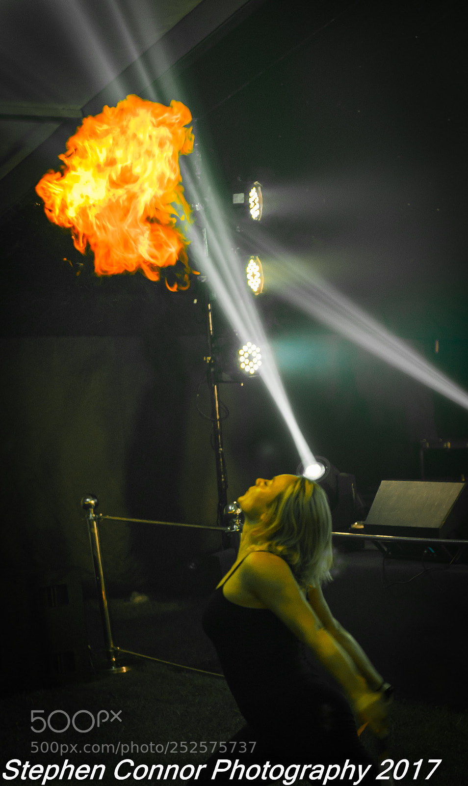 Nikon D3 sample photo. Hayfest 2017 photography