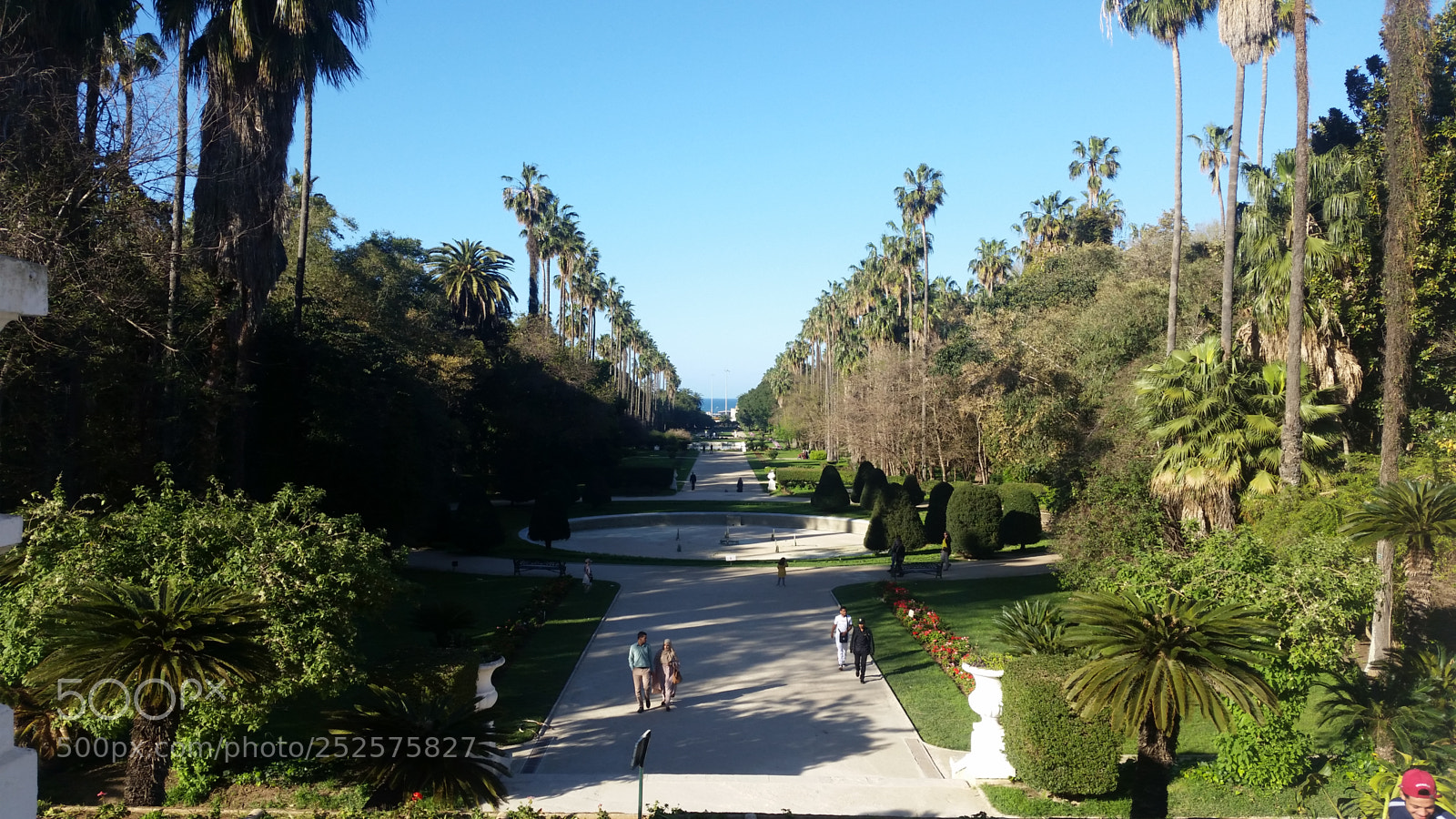 Samsung Galaxy S5 sample photo. El hamma park algiers photography