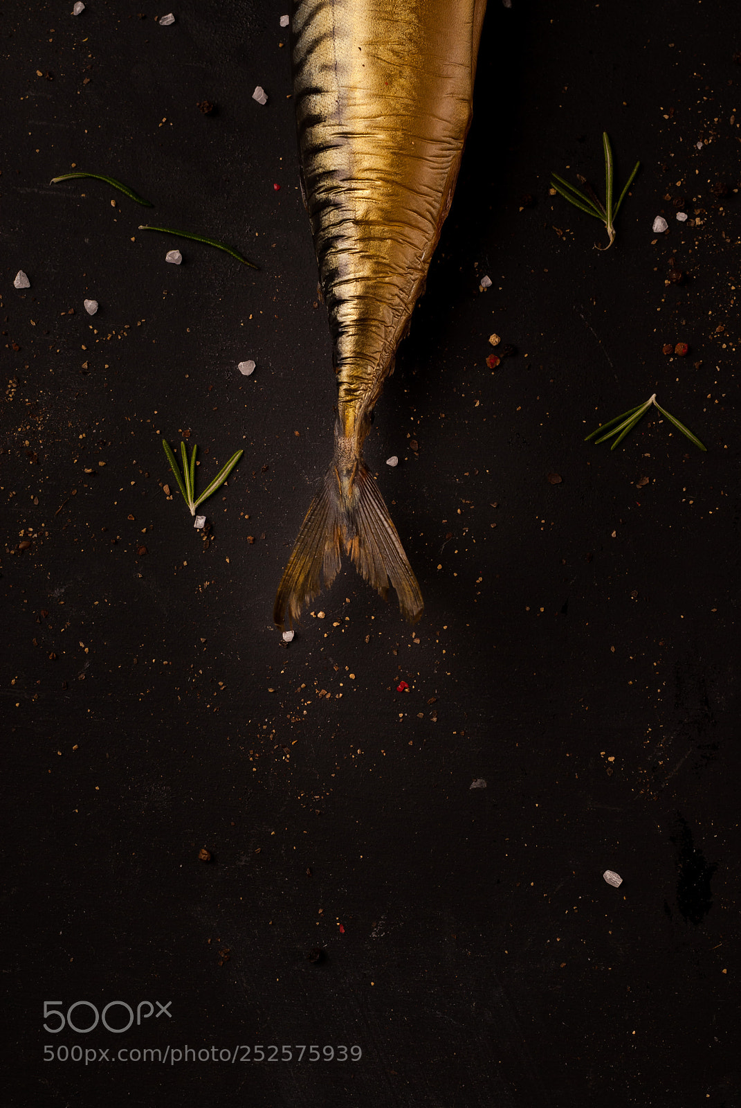 Nikon D200 sample photo. Mackerel photography