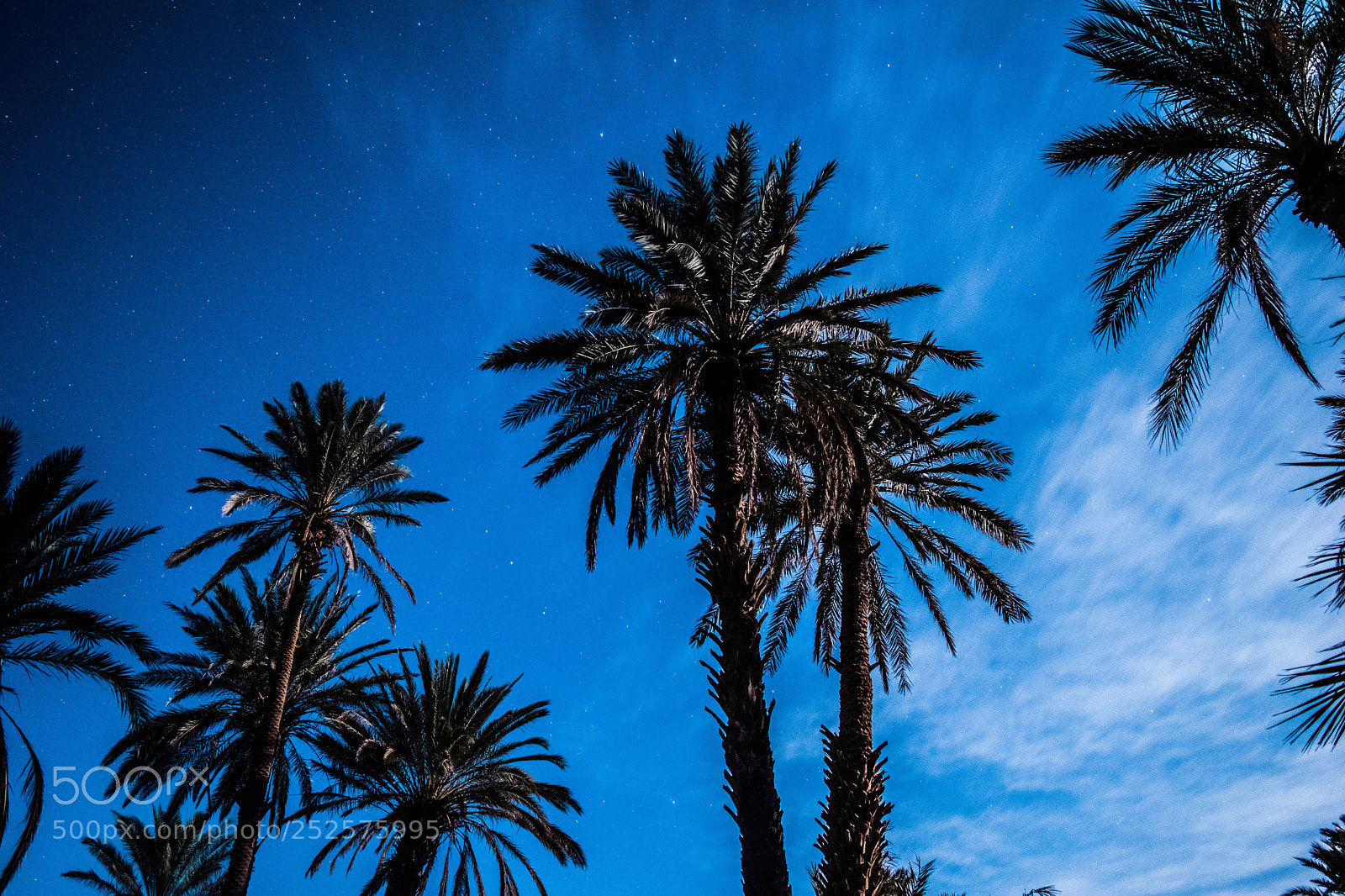 Nikon D5300 sample photo. Our night photography