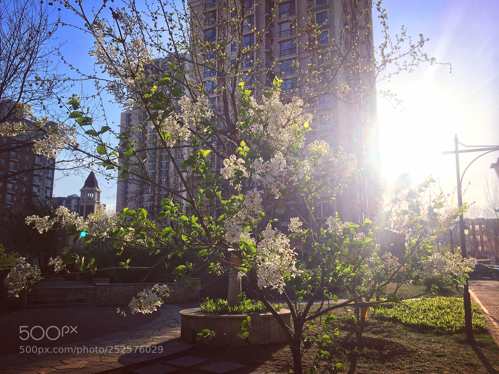 Apple iPhone 6s sample photo. A nice day photography