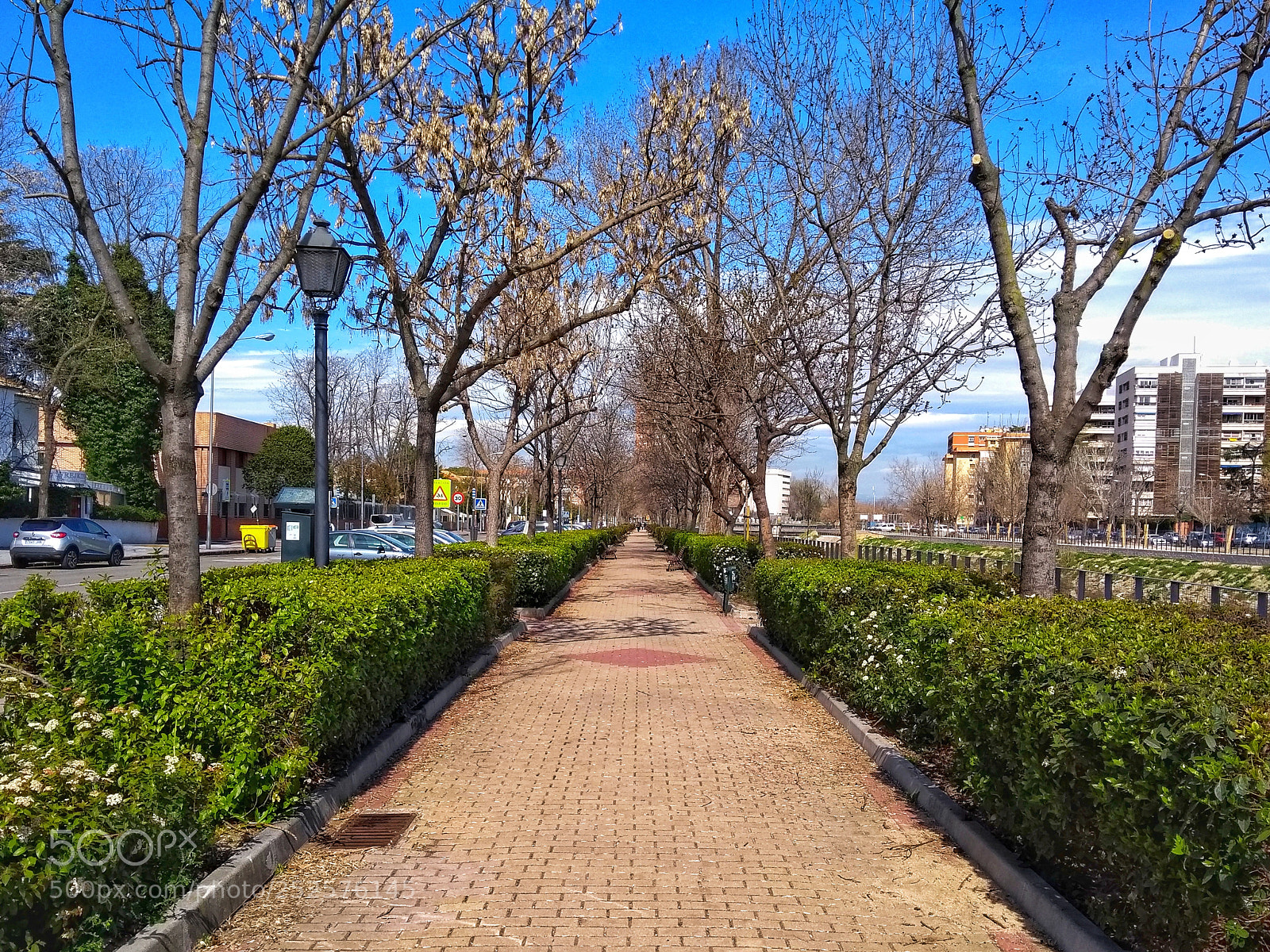 Motorola Moto G (5th Gen) sample photo. Walking between the trees photography