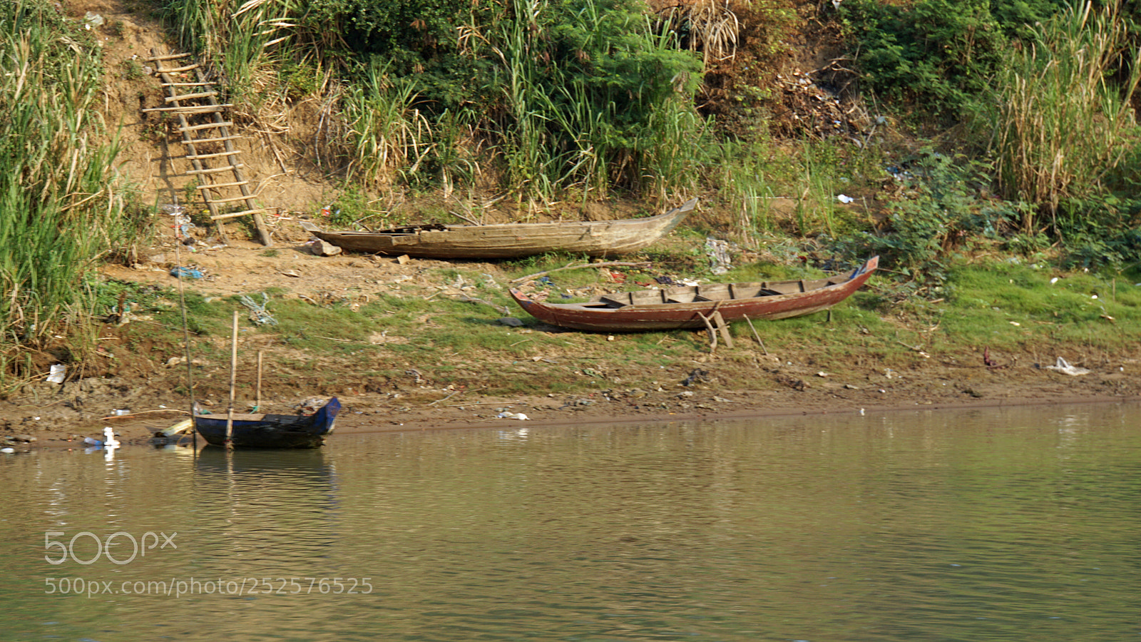 Sony a6000 sample photo. Wild tonle sap photography