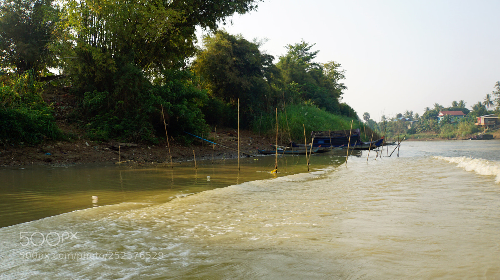 Sony a6000 sample photo. Wild tonle sap photography