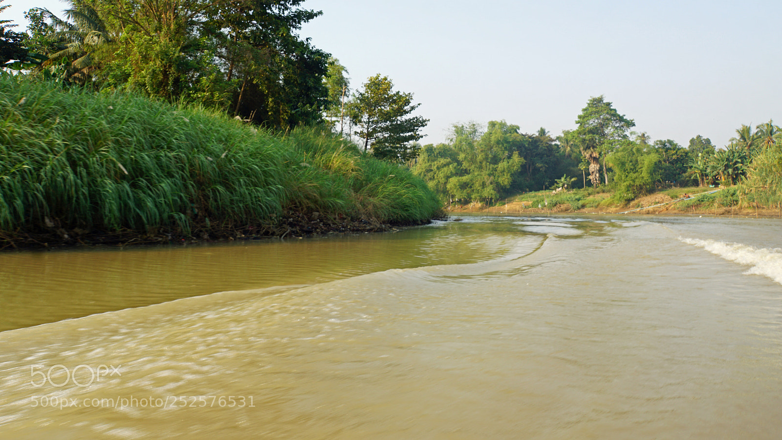 Sony a6000 sample photo. Wild tonle sap photography