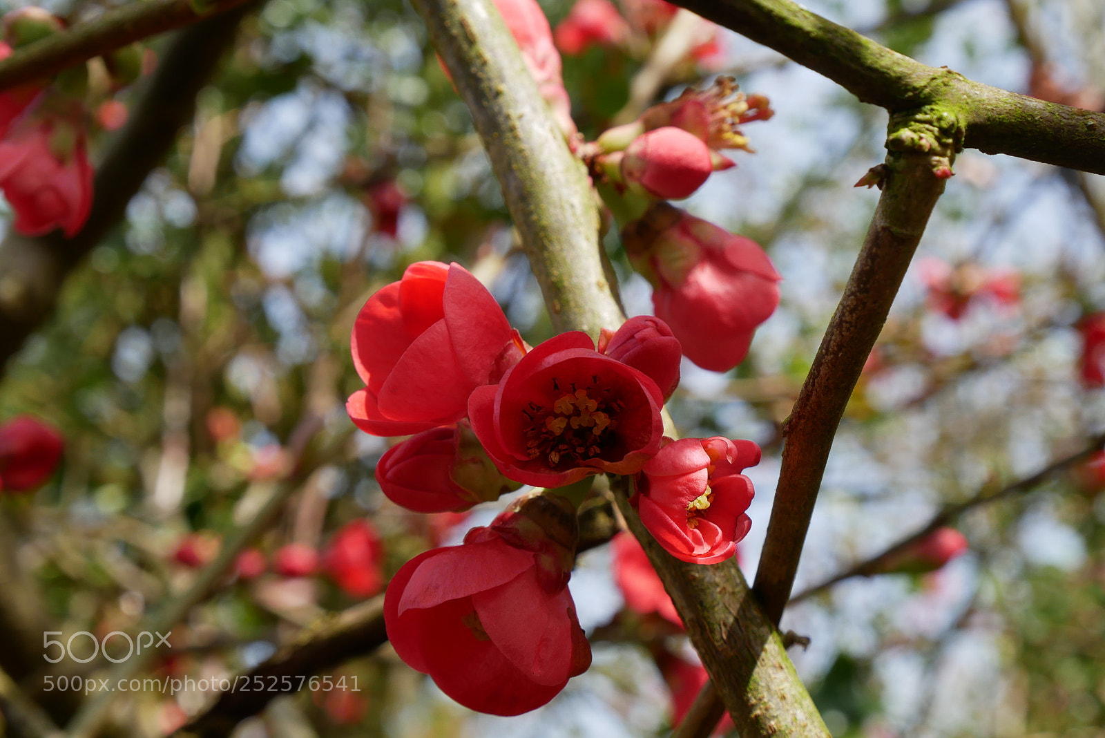 Panasonic Lumix DMC-GX85 (Lumix DMC-GX80 / Lumix DMC-GX7 Mark II) sample photo. Untitled photography
