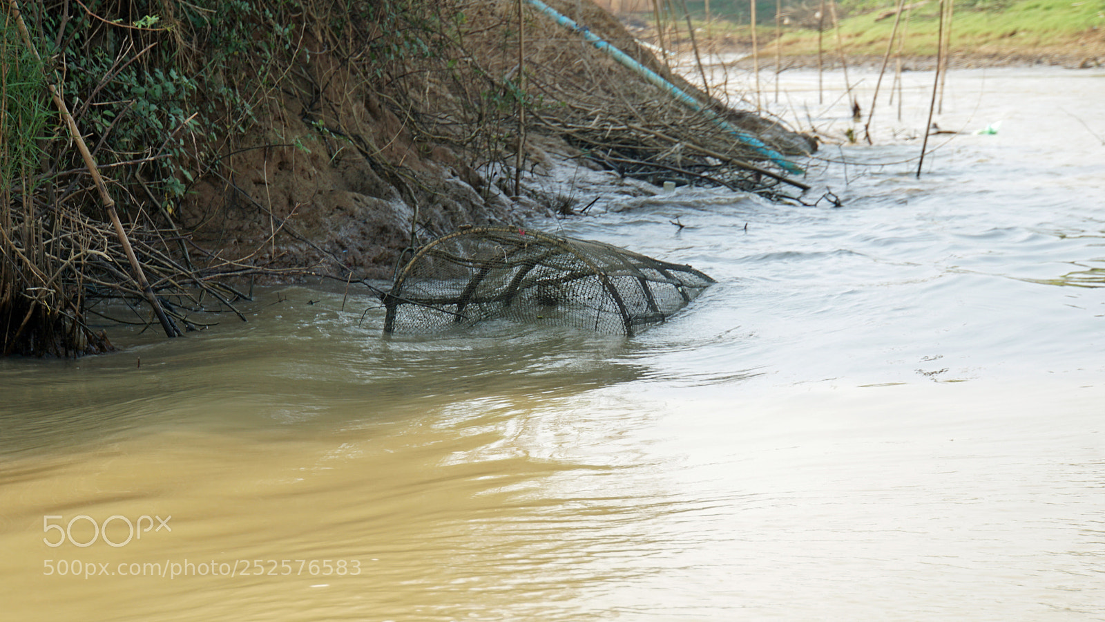 Sony a6000 sample photo. Wild tonle sap photography