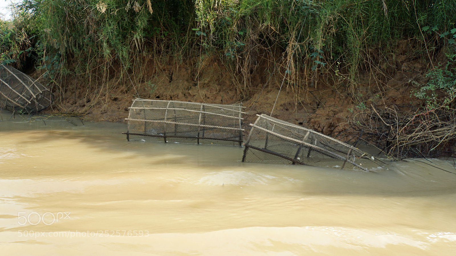 Sony a6000 sample photo. Wild tonle sap photography