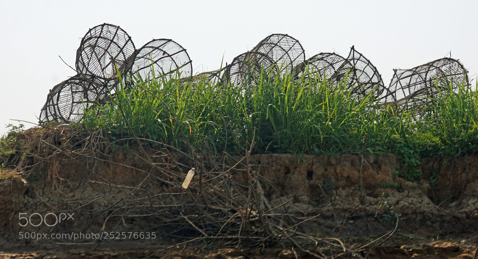 Sony a6000 sample photo. Wild tonle sap photography