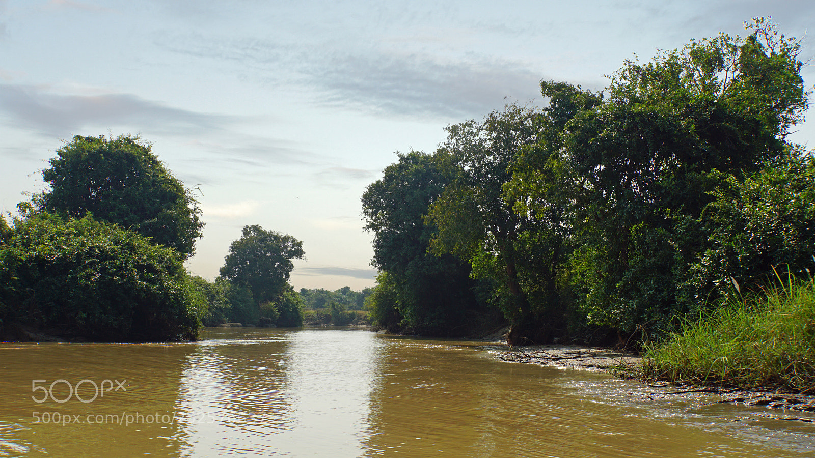 Sony a6000 sample photo. Wild tonle sap photography