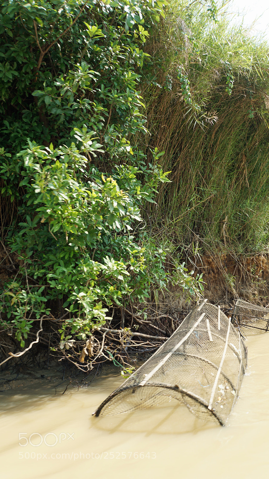 Sony a6000 sample photo. Wild tonle sap photography