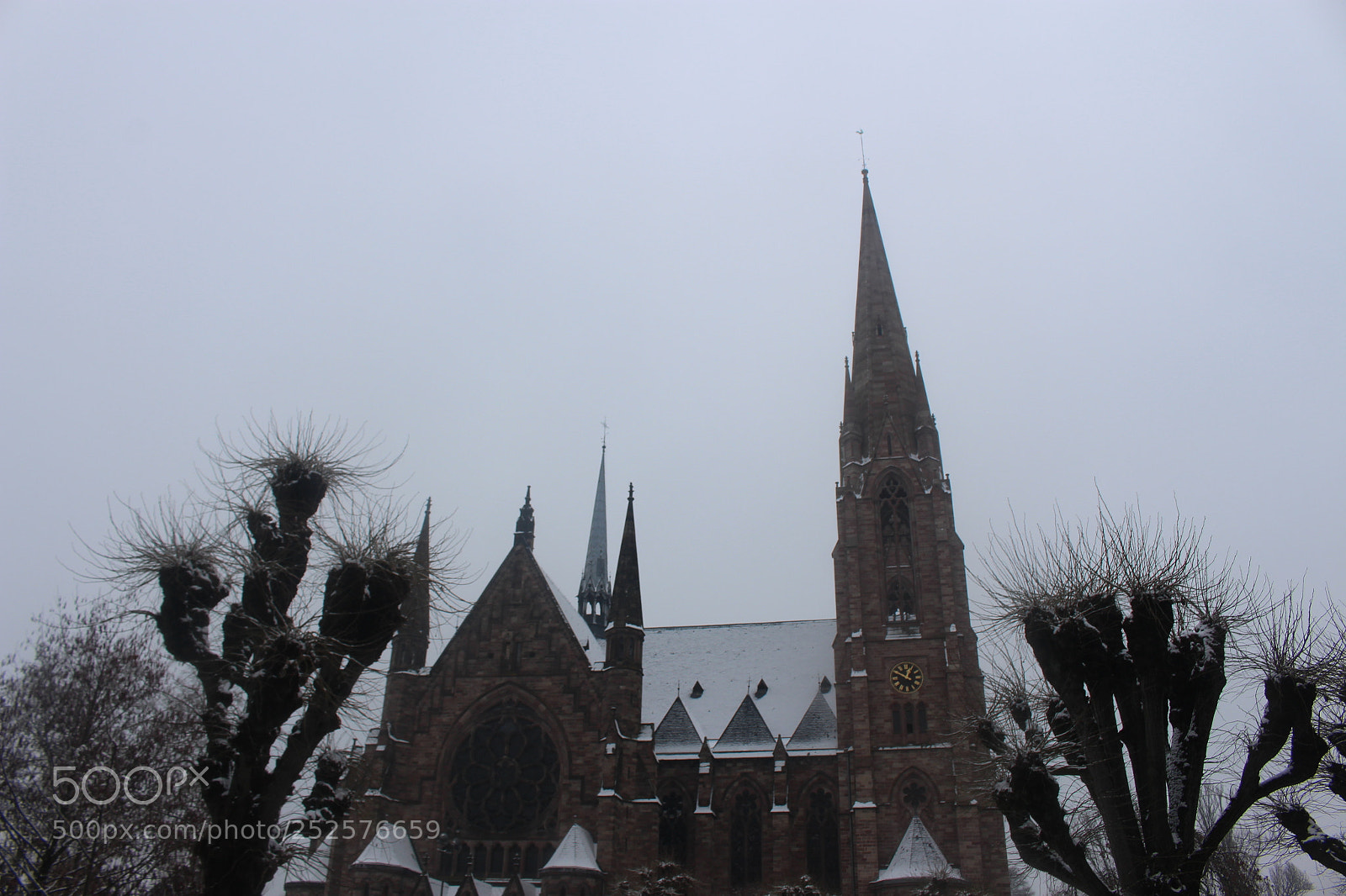 Canon EOS 700D (EOS Rebel T5i / EOS Kiss X7i) sample photo. Img photography