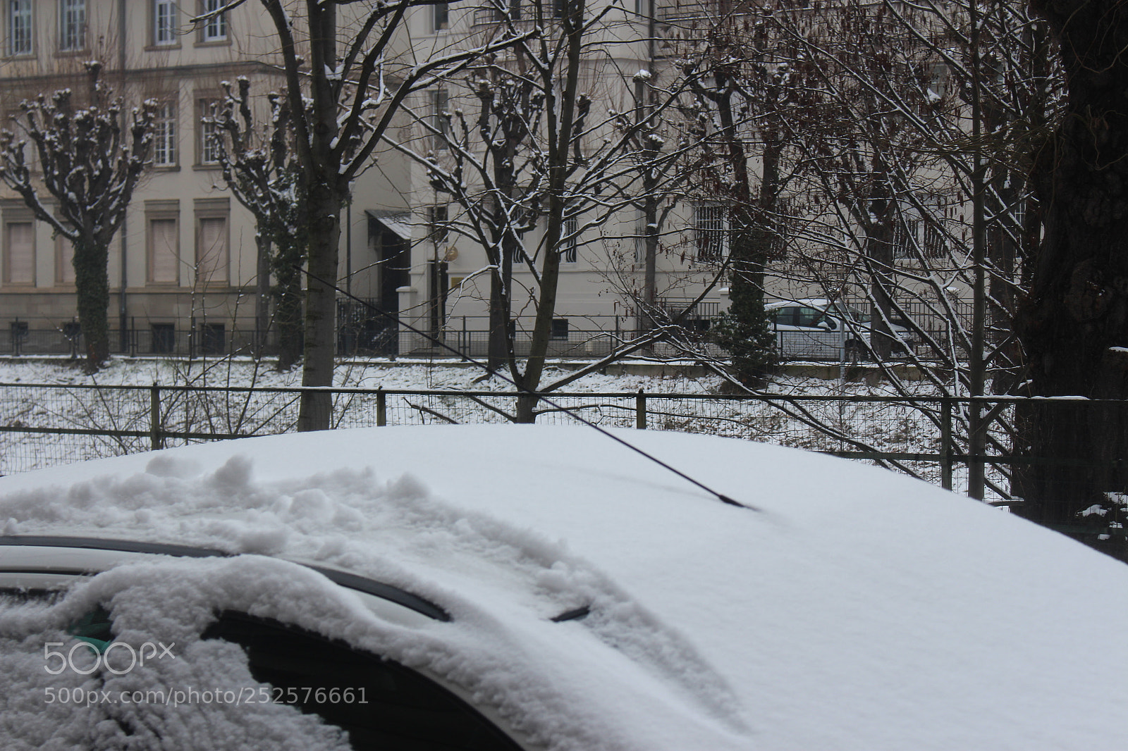 Canon EOS 700D (EOS Rebel T5i / EOS Kiss X7i) sample photo. Img photography