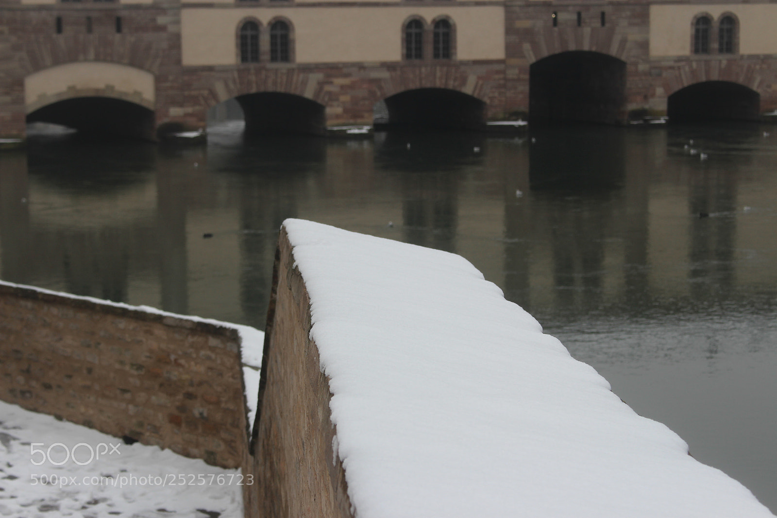 Canon EOS 700D (EOS Rebel T5i / EOS Kiss X7i) sample photo. Img photography