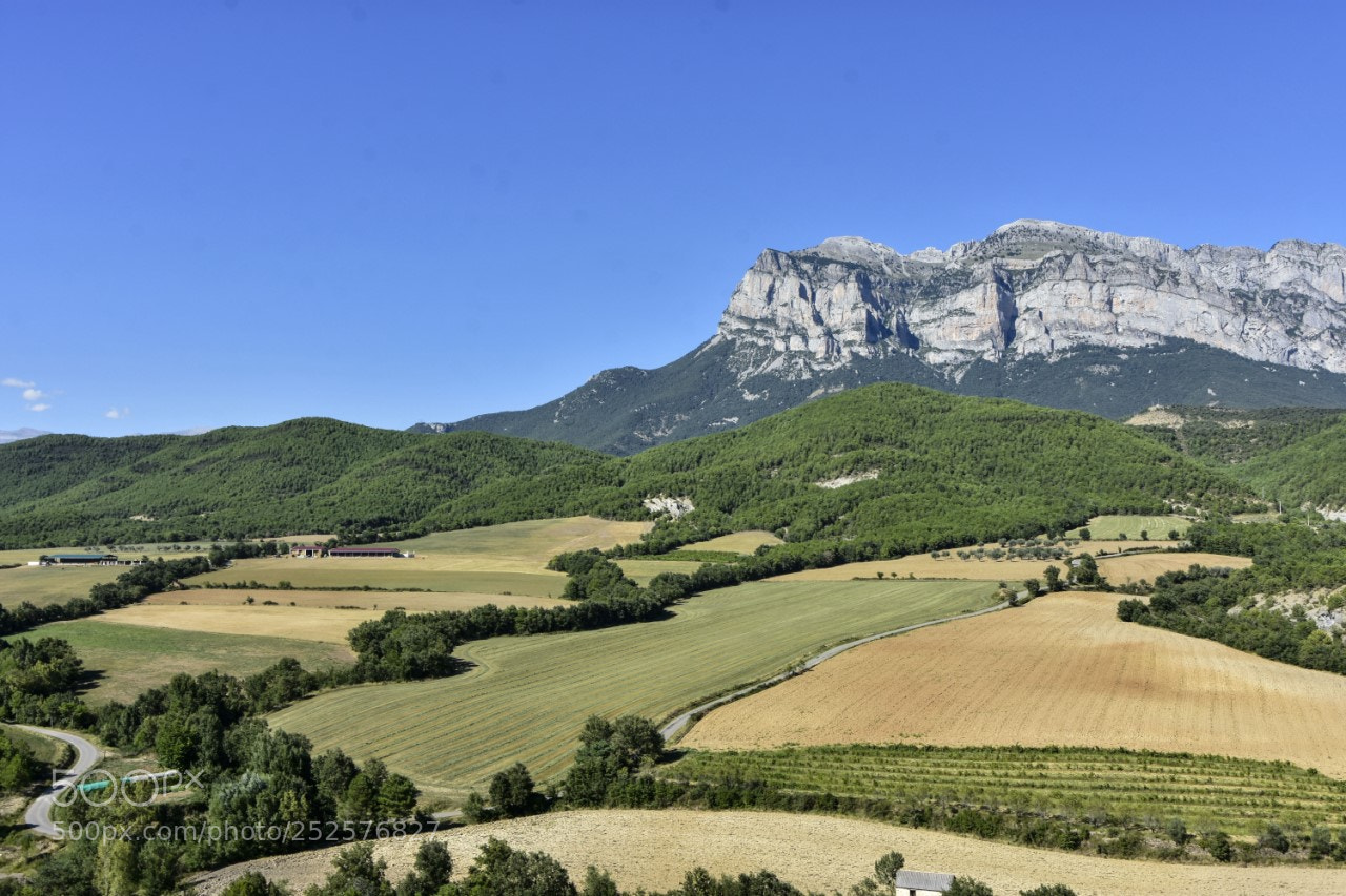 Nikon D7200 sample photo. Paisaje de verano photography