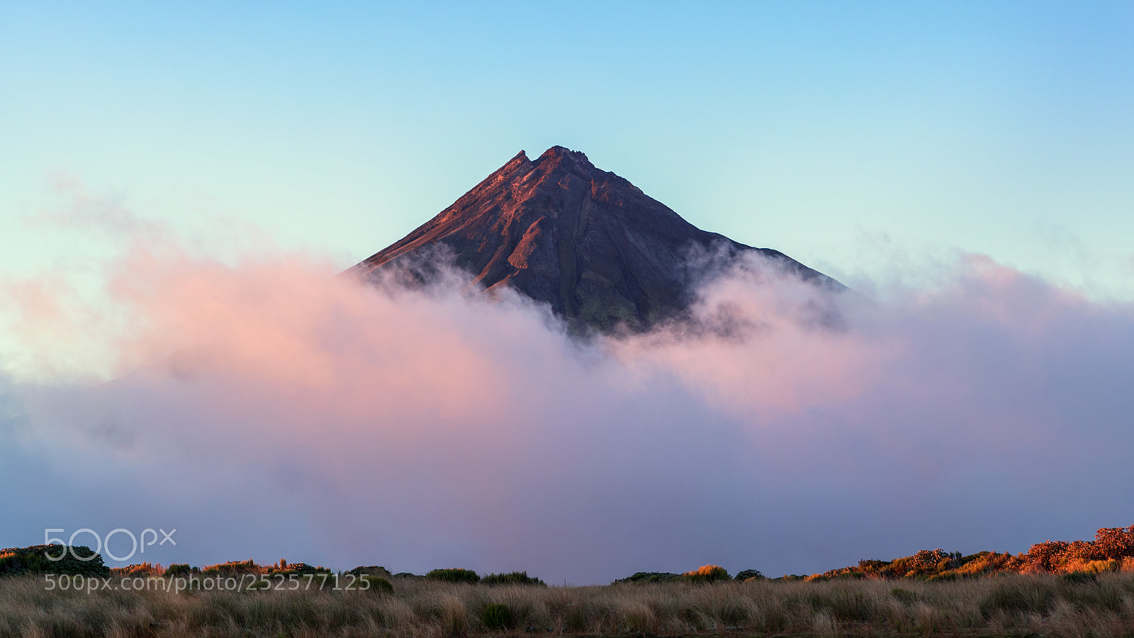 Canon EOS-1D X Mark II sample photo. Taranaki photography