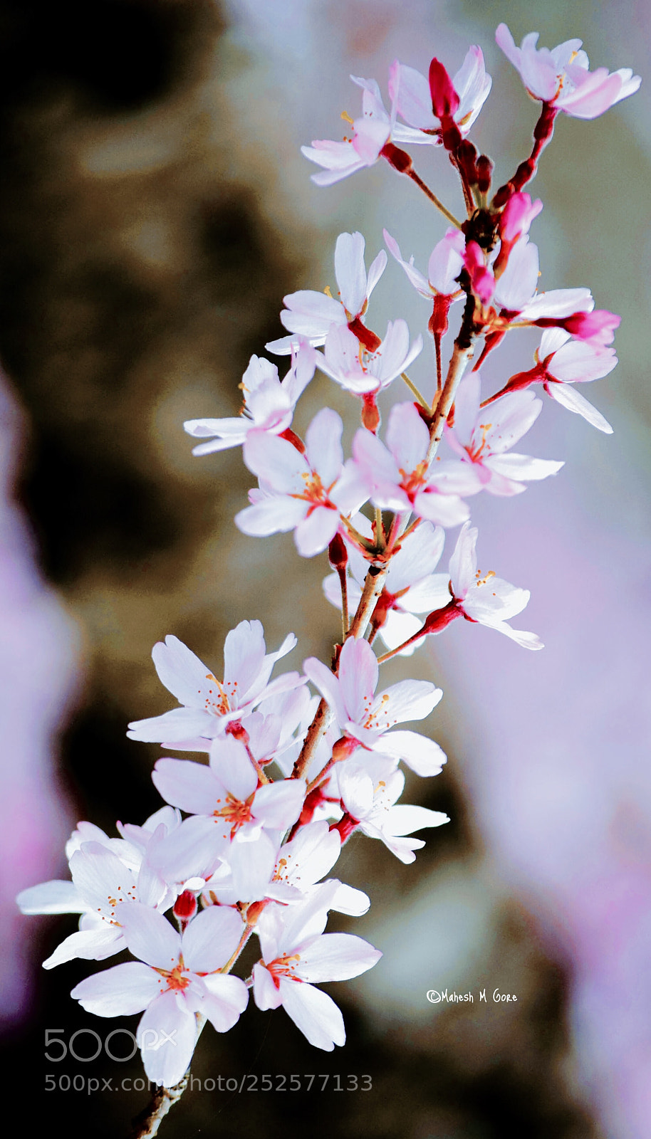 Nikon D5300 sample photo. Bouquet  photography