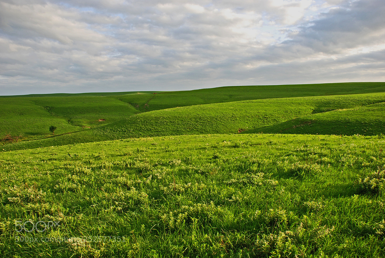Nikon D80 sample photo. Early summer in the photography