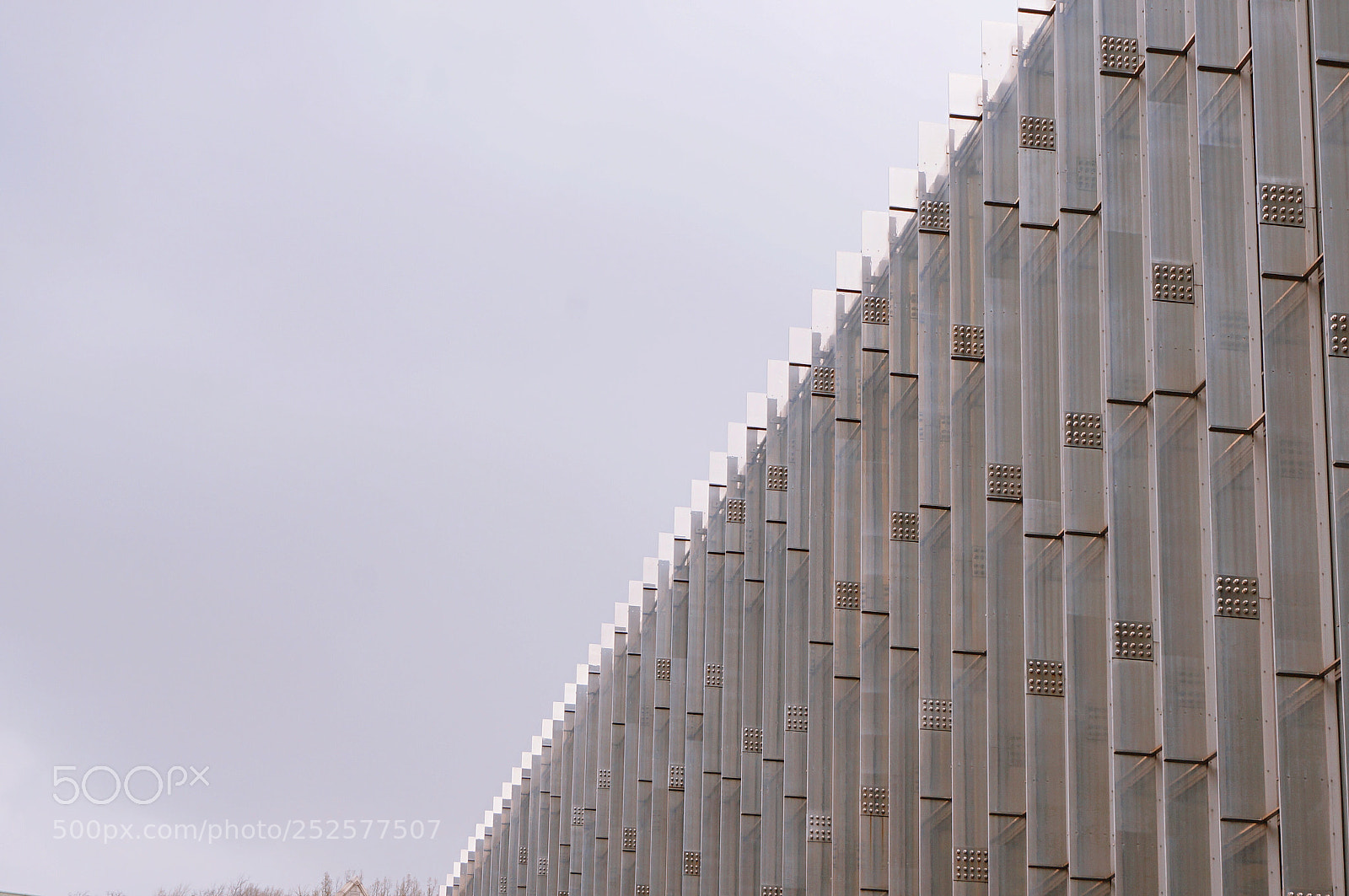 Sony Alpha NEX-5R sample photo. Untitled photography