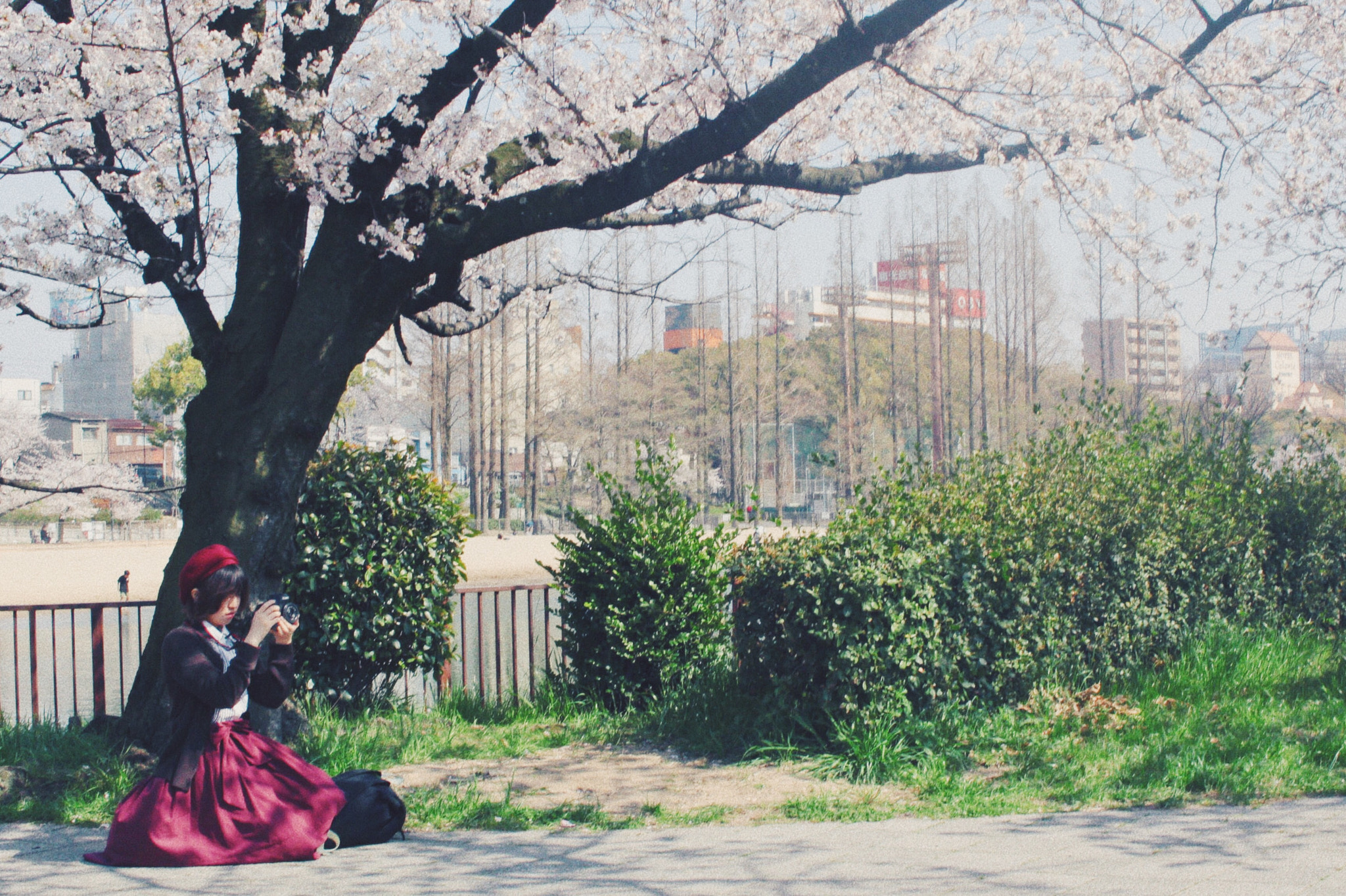 Canon EOS 100D (EOS Rebel SL1 / EOS Kiss X7) sample photo. Under the cherry photography