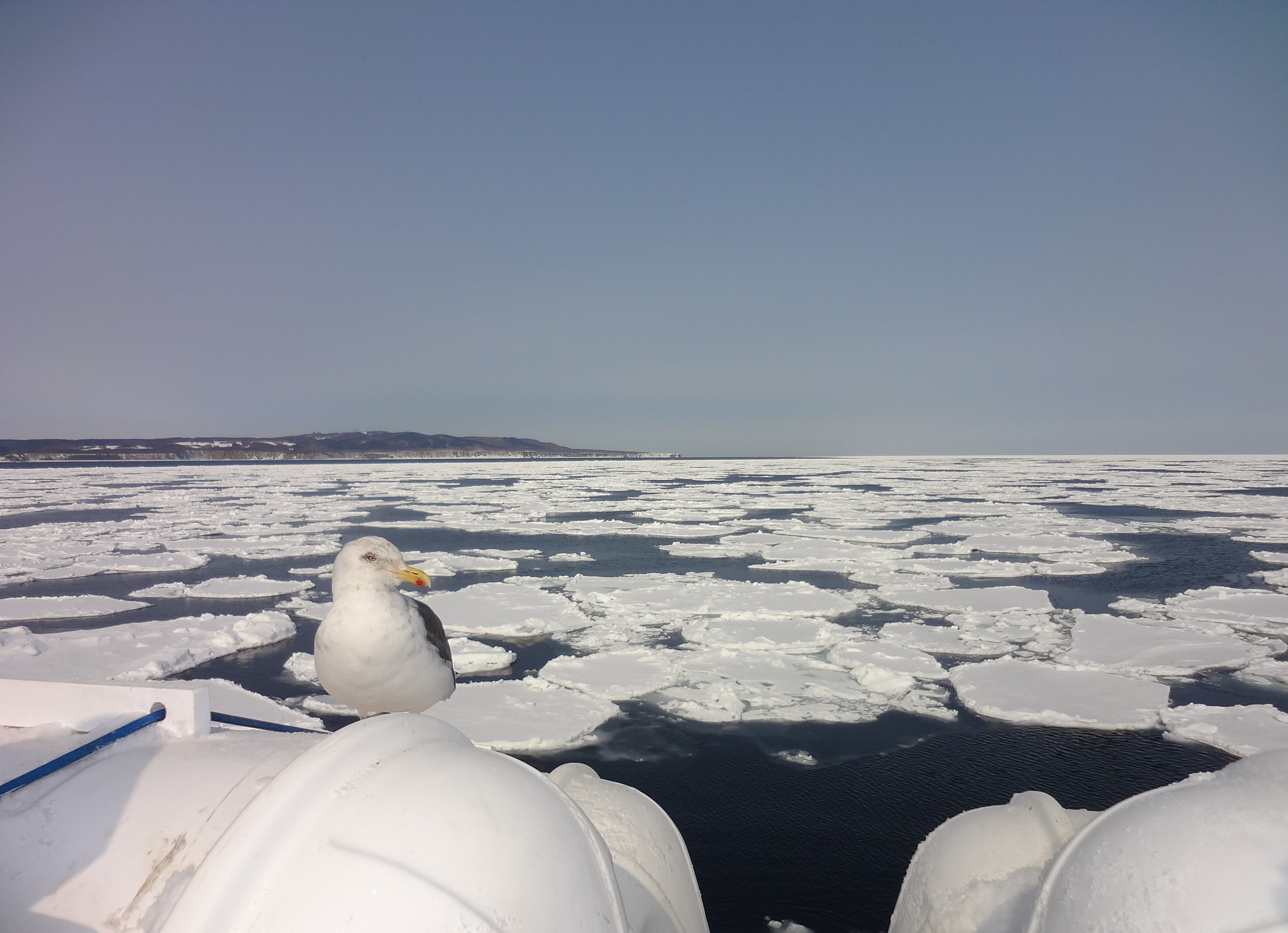 Sony DSC-WX10 sample photo. Drift ice photography