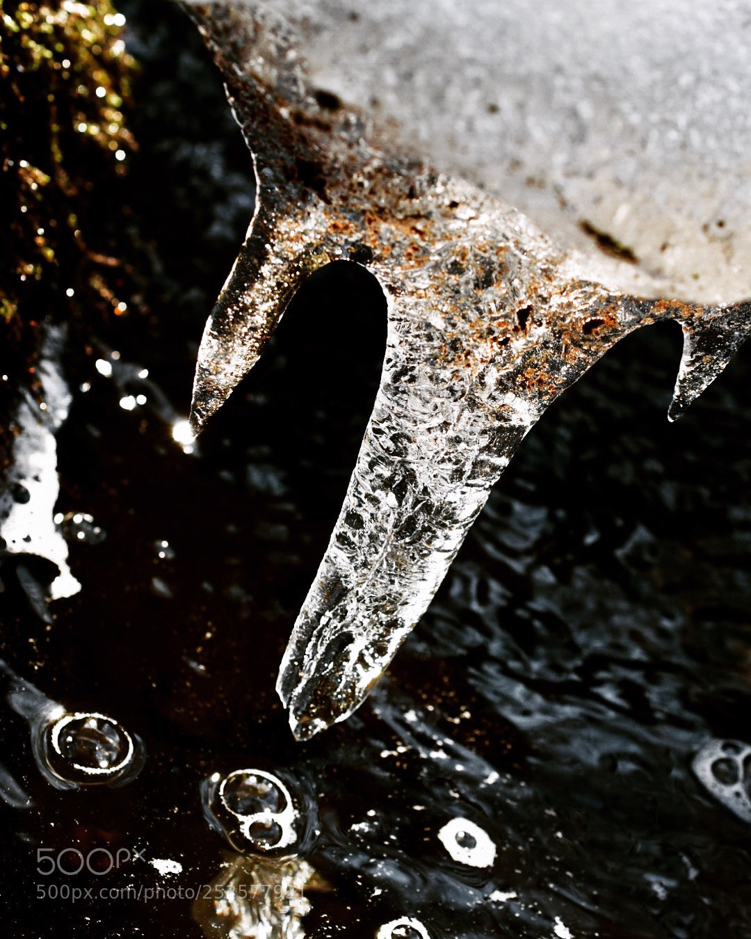 Nikon D5300 sample photo. Still a little winter photography