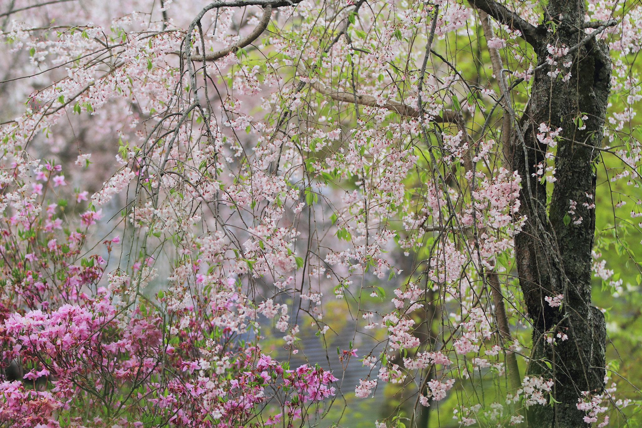 Canon EOS 7D sample photo