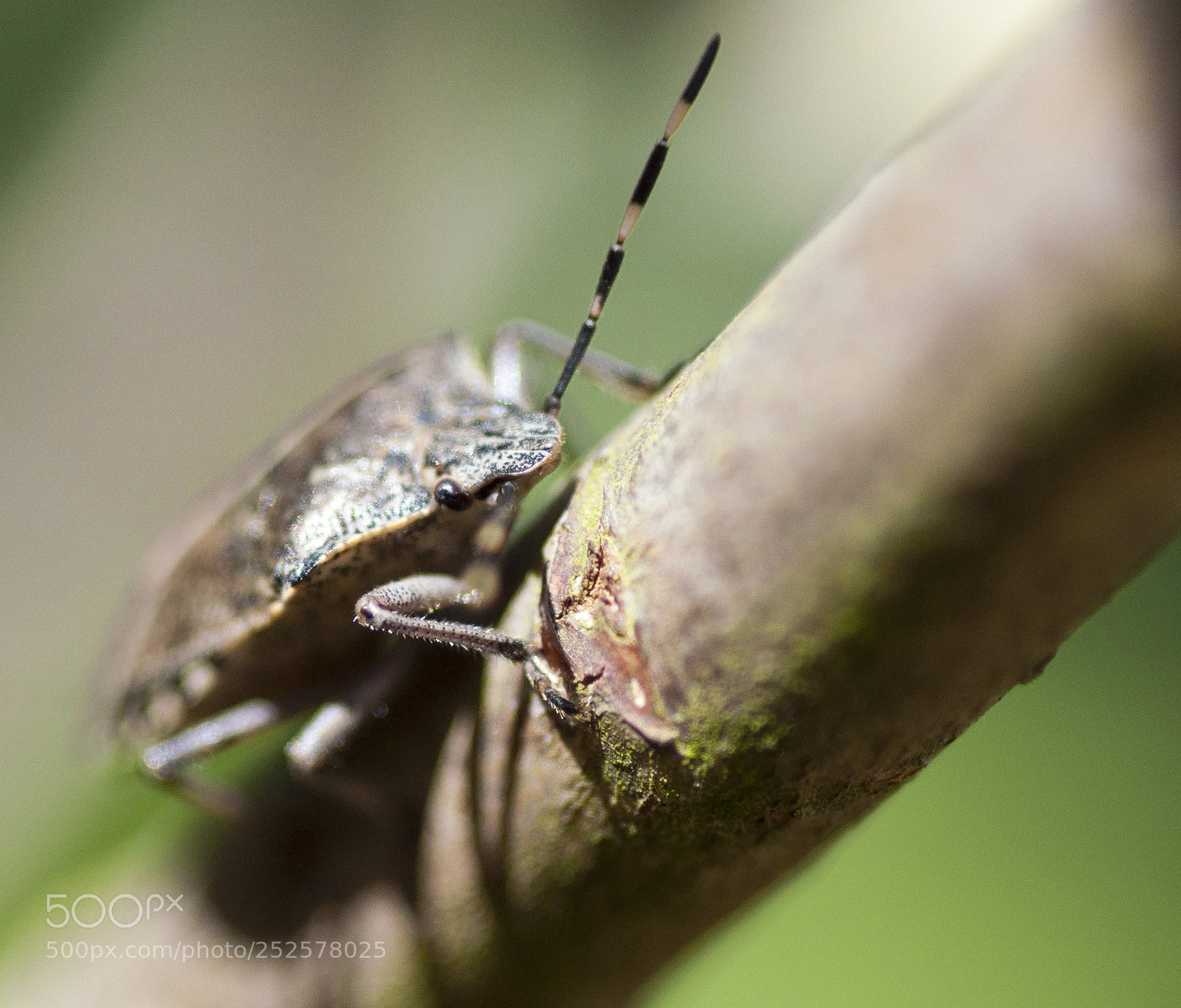 Nikon D90 sample photo. Untitled photography