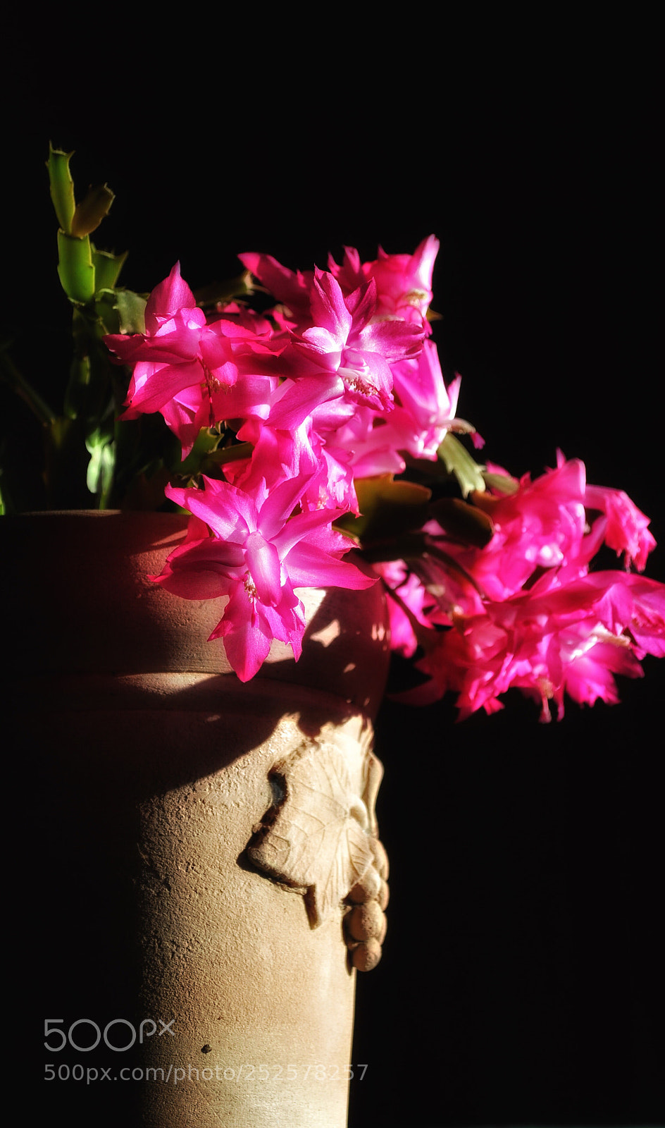 Nikon D3000 sample photo. Shadows and colors photography