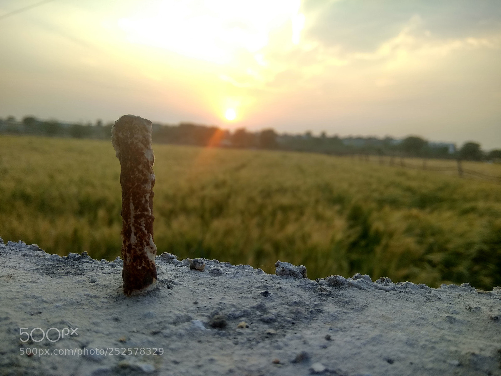 Xiaomi Redmi Note 4 sample photo. Sunset ☀ photography