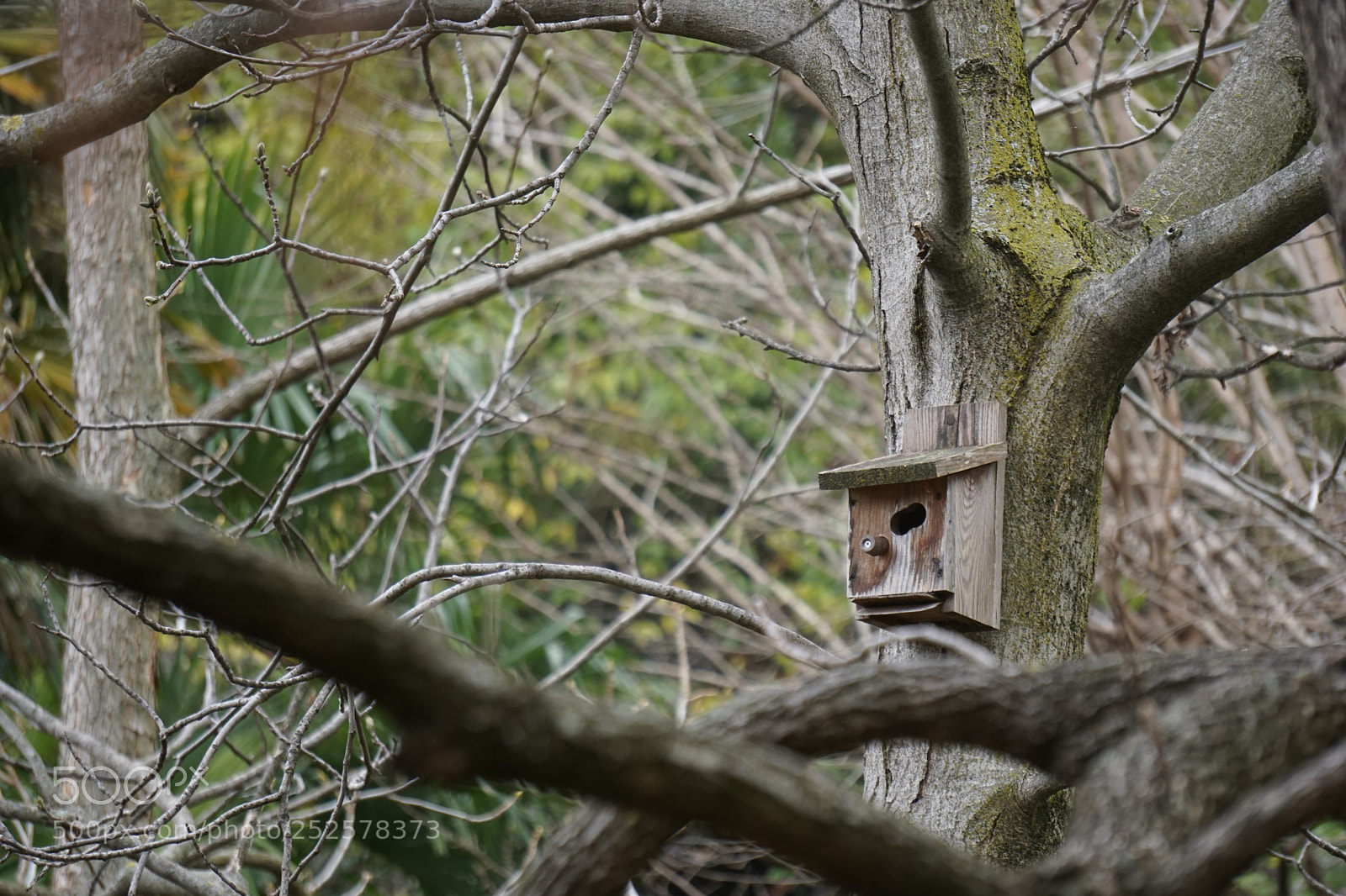 Sony a6000 sample photo. Bird house photography