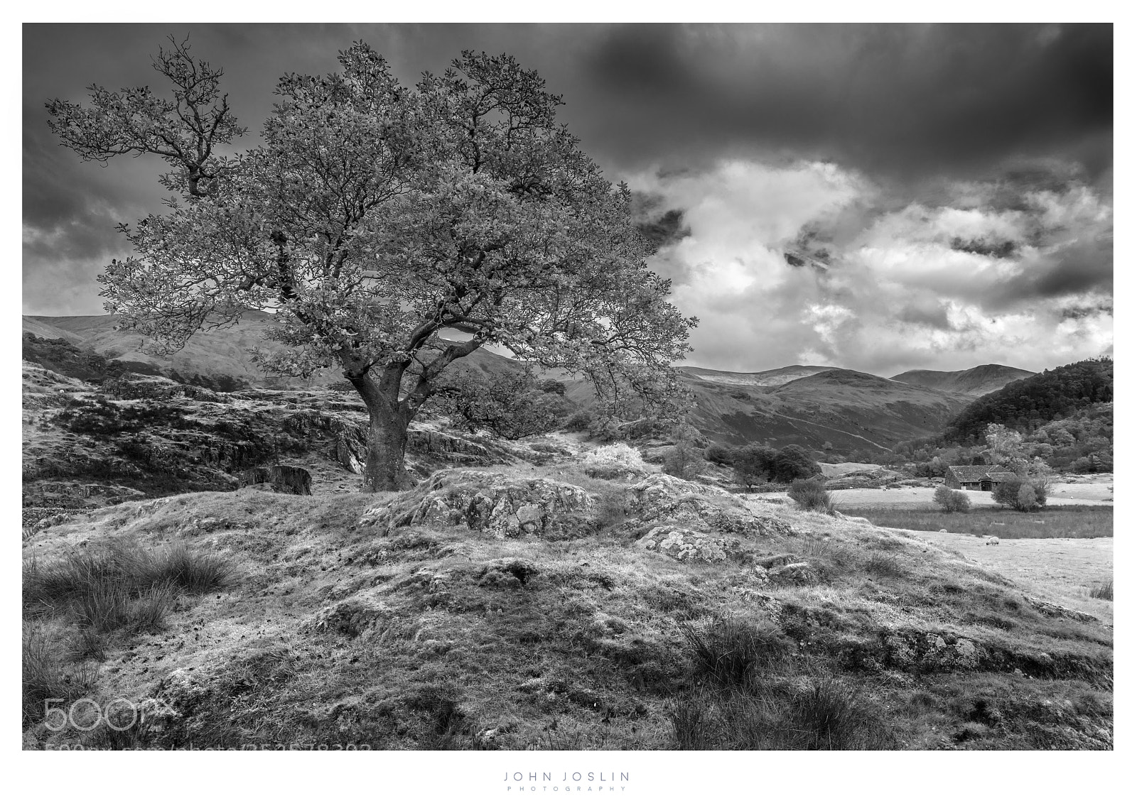 Sony a7R sample photo. Rolling hills photography