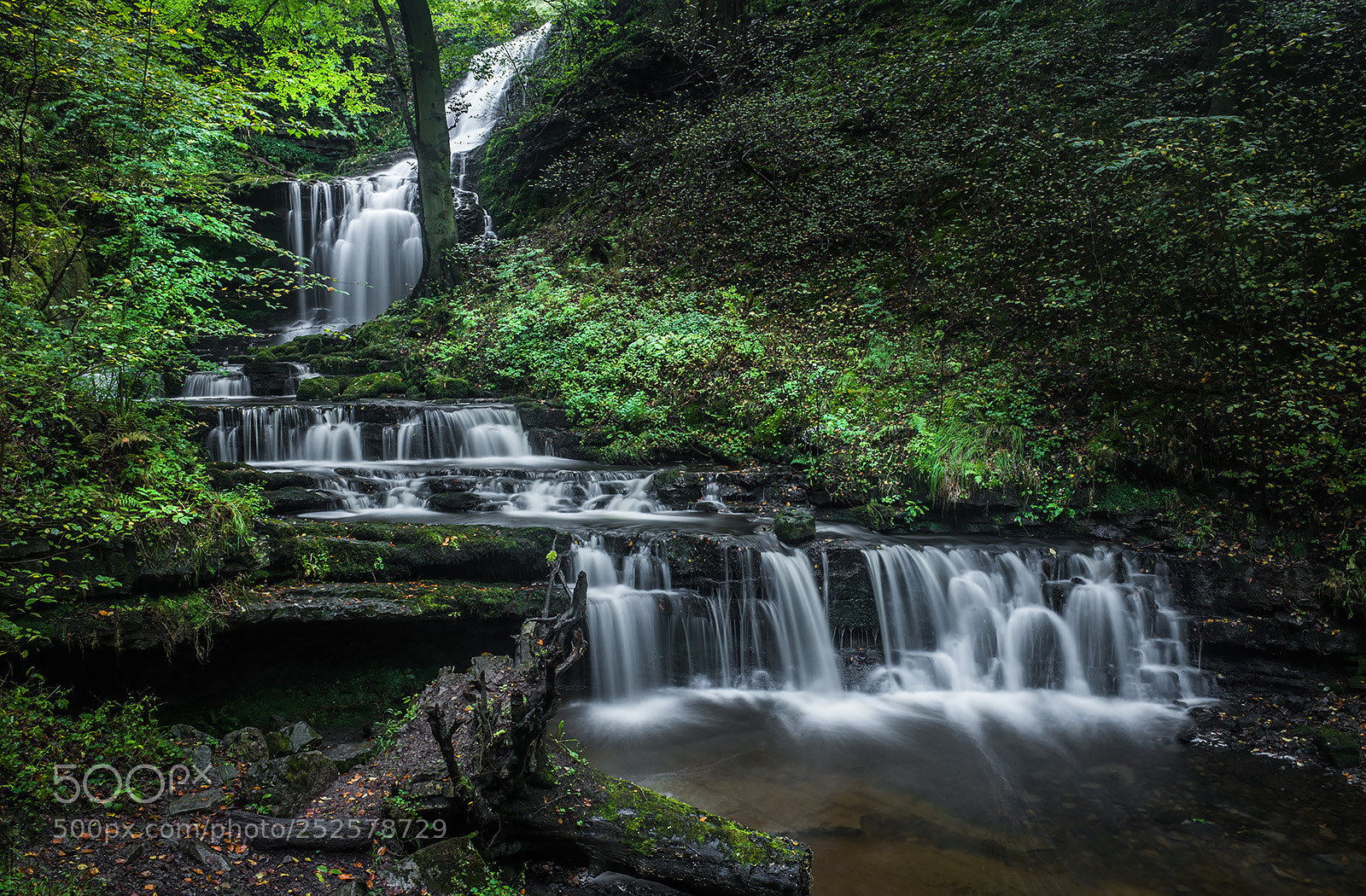 Ricoh GR sample photo. Scaleber force photography